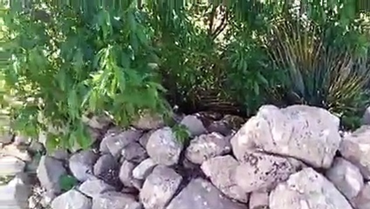 Ait bou Ali tidili massfioua Maroc