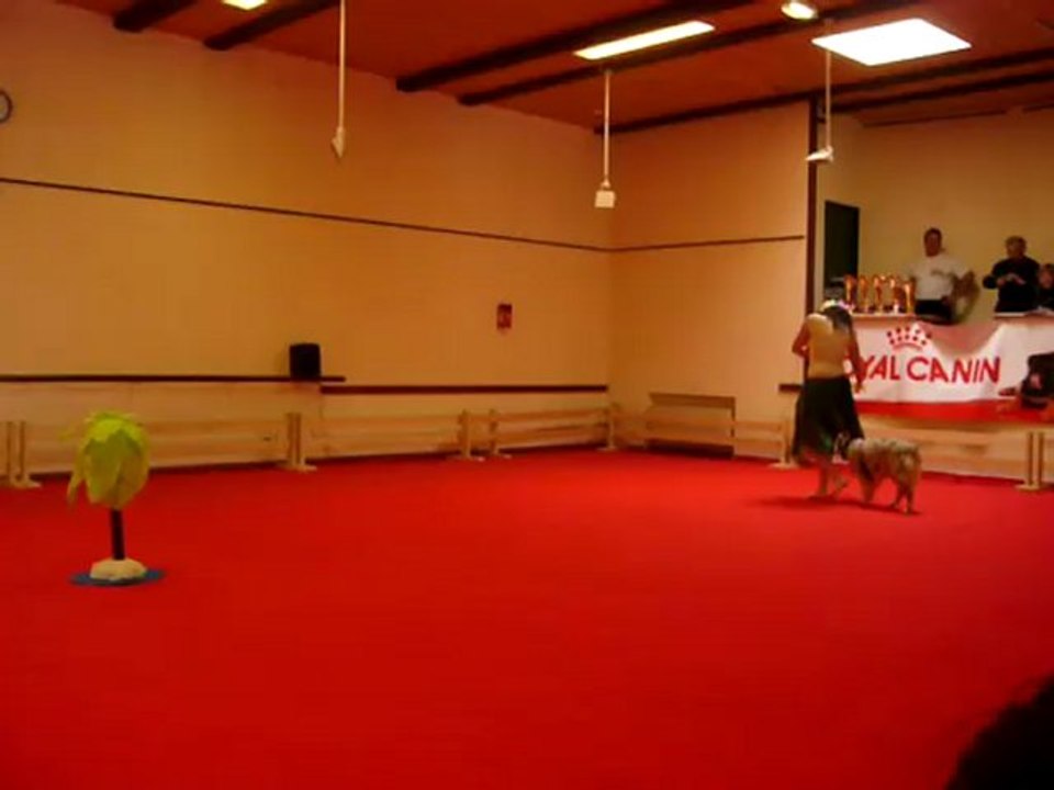P1000821