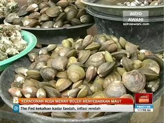 Keracunan alga merah boleh menyebabkan maut
