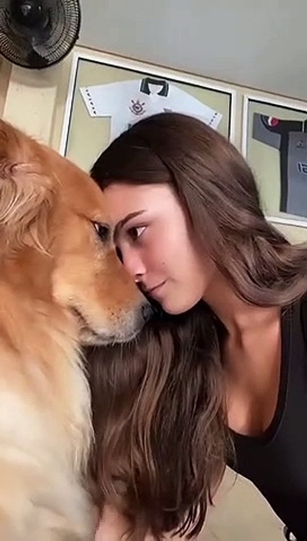 ⁣#shorts Funniest Dogs #short Dog lovers | Pet lover