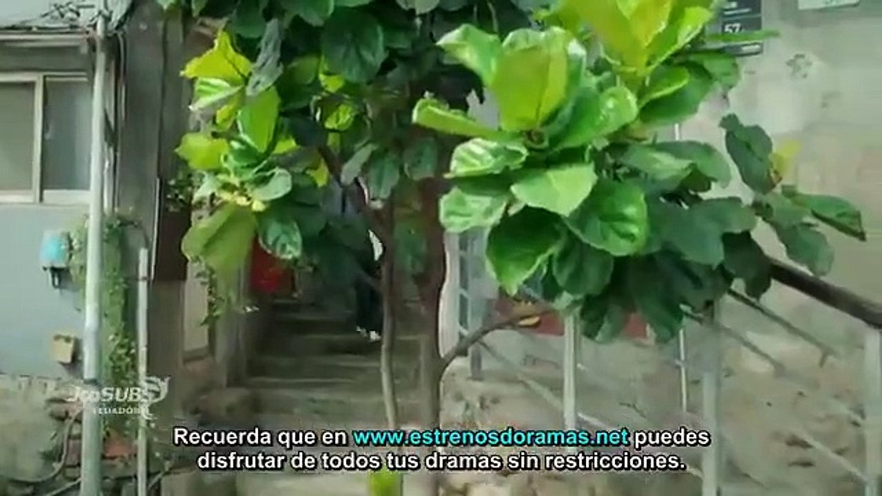 Because Of You Capitulo 7