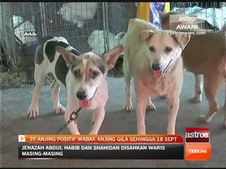 39 anjing positif wabak anjing gila sehingga 18 September