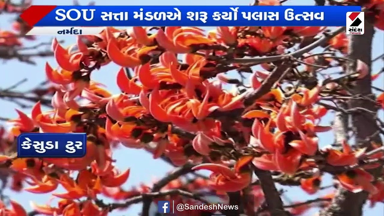 સ્ટેચ્યુ ઓફ યુનિટી ખાતે વિશેષ આયોજન