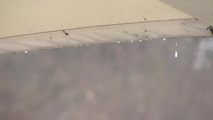 [날씨] 이틀째 단비, 퇴근길까지 계속...동해안 강풍 / YTN