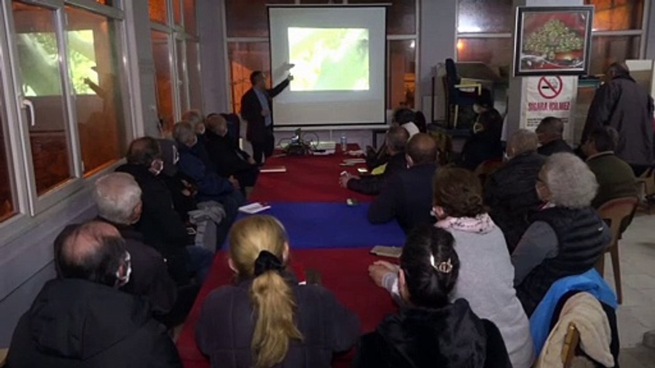 Bornova’da zeytin budama eğitimi