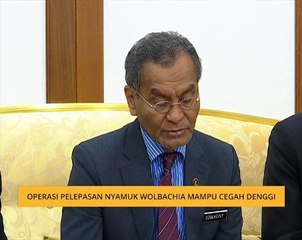 Operasi pelepasan nyamuk Wolbachia mampu cegah denggi