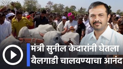 Sunil Kedar l मंत्री सुनील केदारांनी घेतला बैलगाडी चालवण्याचा आनंद l Sakal