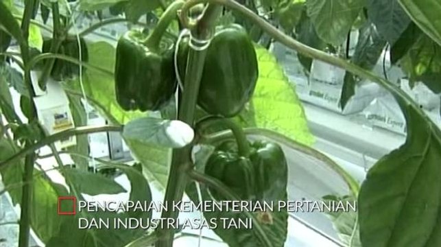 Setahun Malaysia Baharu: Kejayaan Kementerian Pertanian & Industri Asas Tani