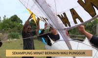 Khabar Dari Pahang: Sekampung minat bermain wau pungguk