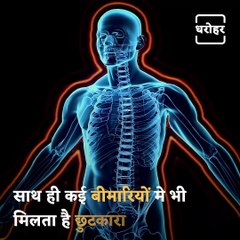 Know The Health Benefits And Uses Of Almond In Ayurveda