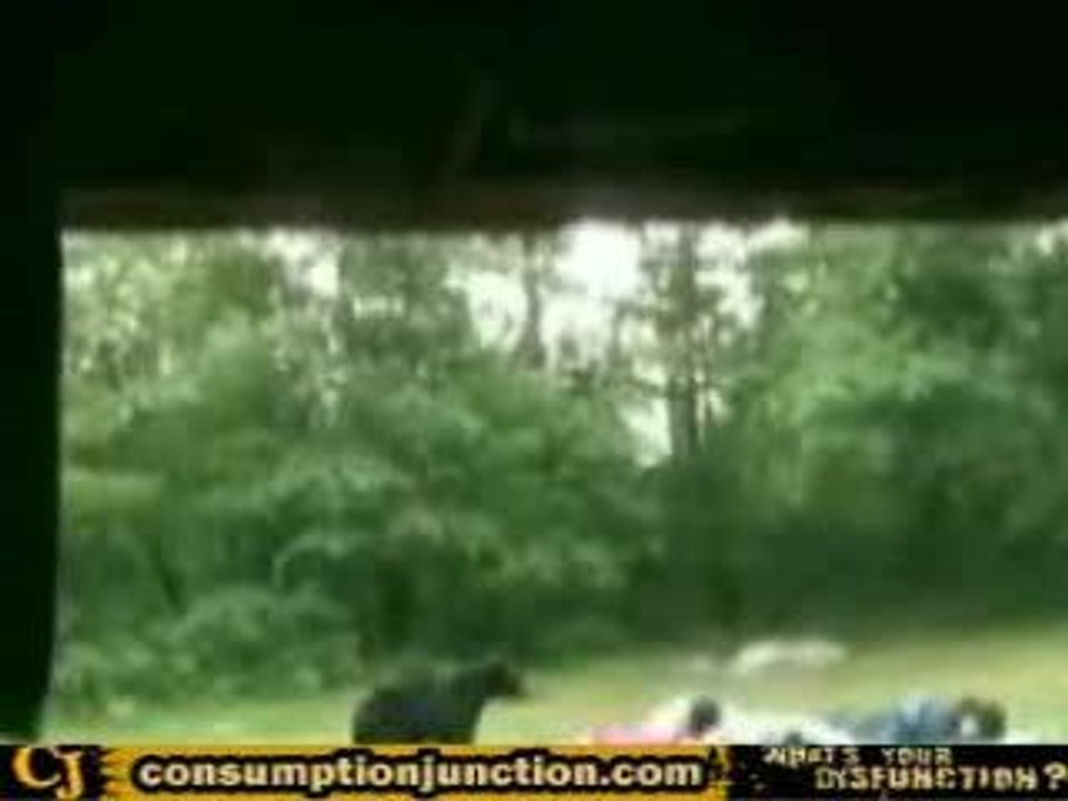 Bear scare