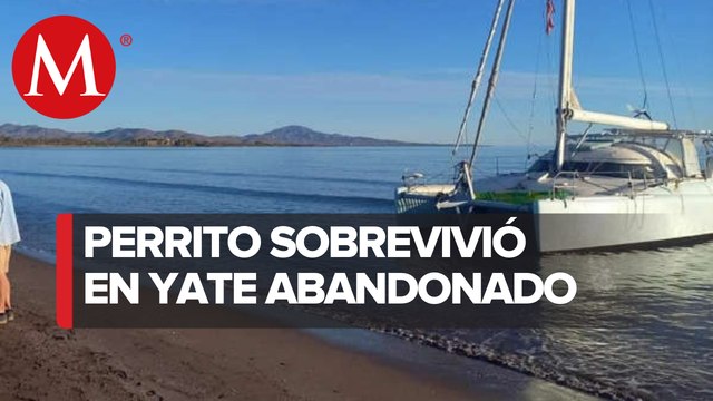 En Baja California Sur, hallan embarcación abandonada en playas de Loreto