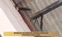Khabar Dari Johor: Bimbang bumbung dewan sekolah dimakan anai-anai
