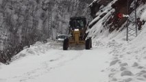 Şırnak'ta kapalı köy yolları açıldı