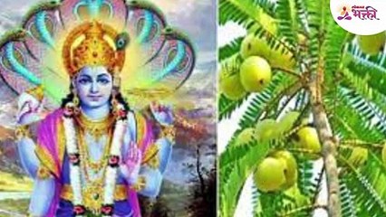 14 मार्च आमलकी एकादशी. 1 आवळा यामध्ये बुडवा. लाखो नाही करोडो मध्ये खेळाल Final