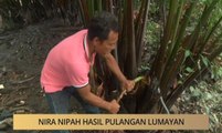 Khabar Dari Kelantan: Nira nipah hasil pulangan lumayan