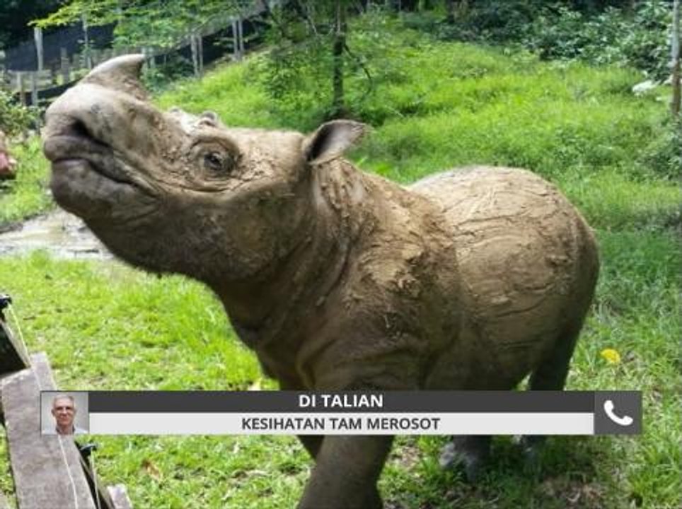 Kesihatan Tam merosot
