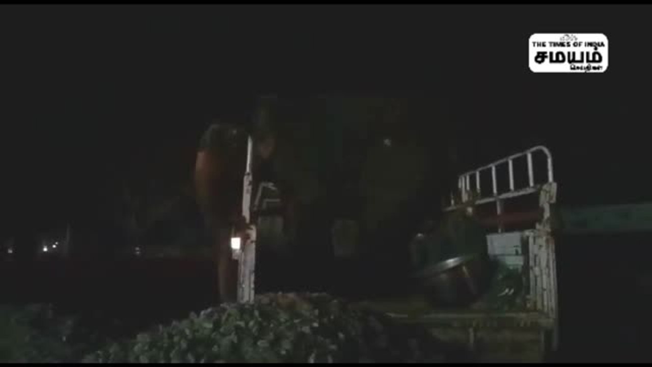 யானையை பறிமுதல் செய்த வனத்துறையினர்!
