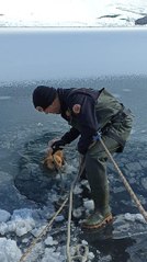 BUZ KIRILINCA GÖLETE DÜŞEN KÖPEK, DONMAK ÜZEREYKEN KURTARILDI