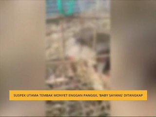 Suspek utama tembak monyet enggan panggil 'baby sayang' ditangkap