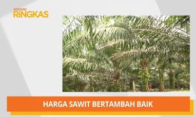 Télécharger la video: AWANI Ringkas: Rosmah perlu isytihar harta & harga sawit bertambah baik