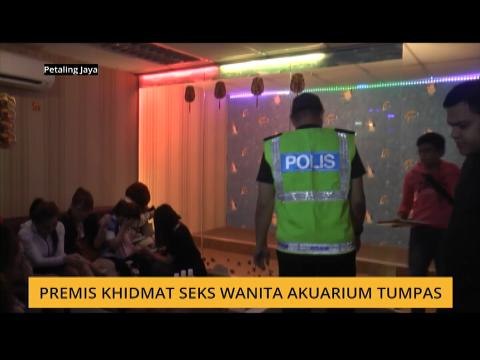 Premis khidmat seks wanita akuarium tumpas