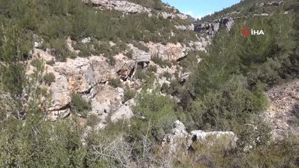 Buz tutan kanyonun görsel şöleni böyle görüntülendi