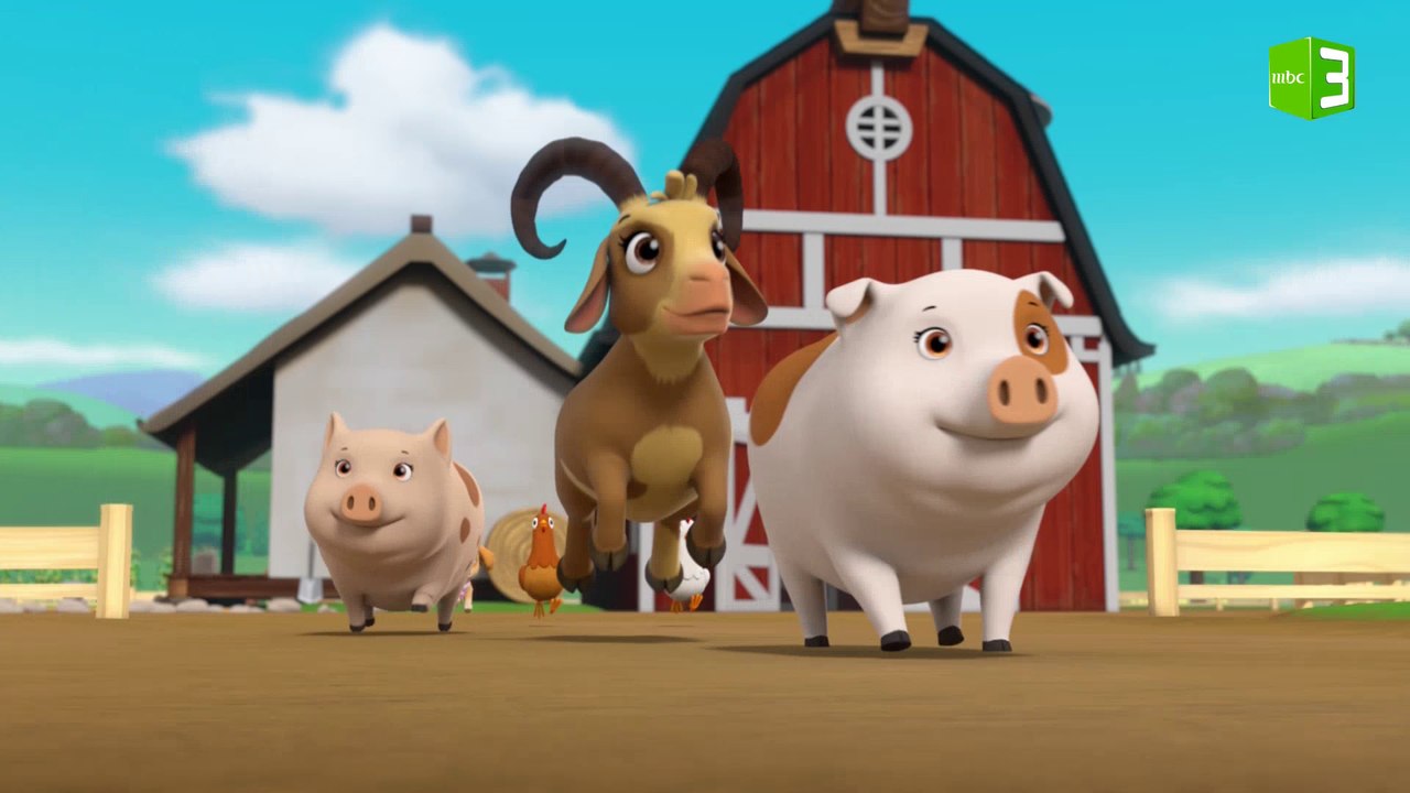 سبب هروب الحيوانات إلى المدينة