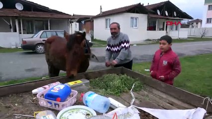 Sen ne güzel insansın Tarık ağabey! Atının yorulduğunu görünce...