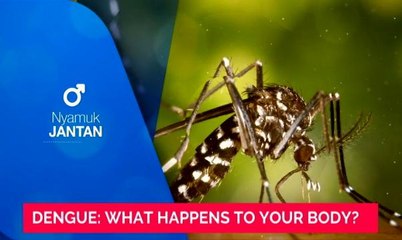 Health Matters: Dengue - Common Misconceptions
