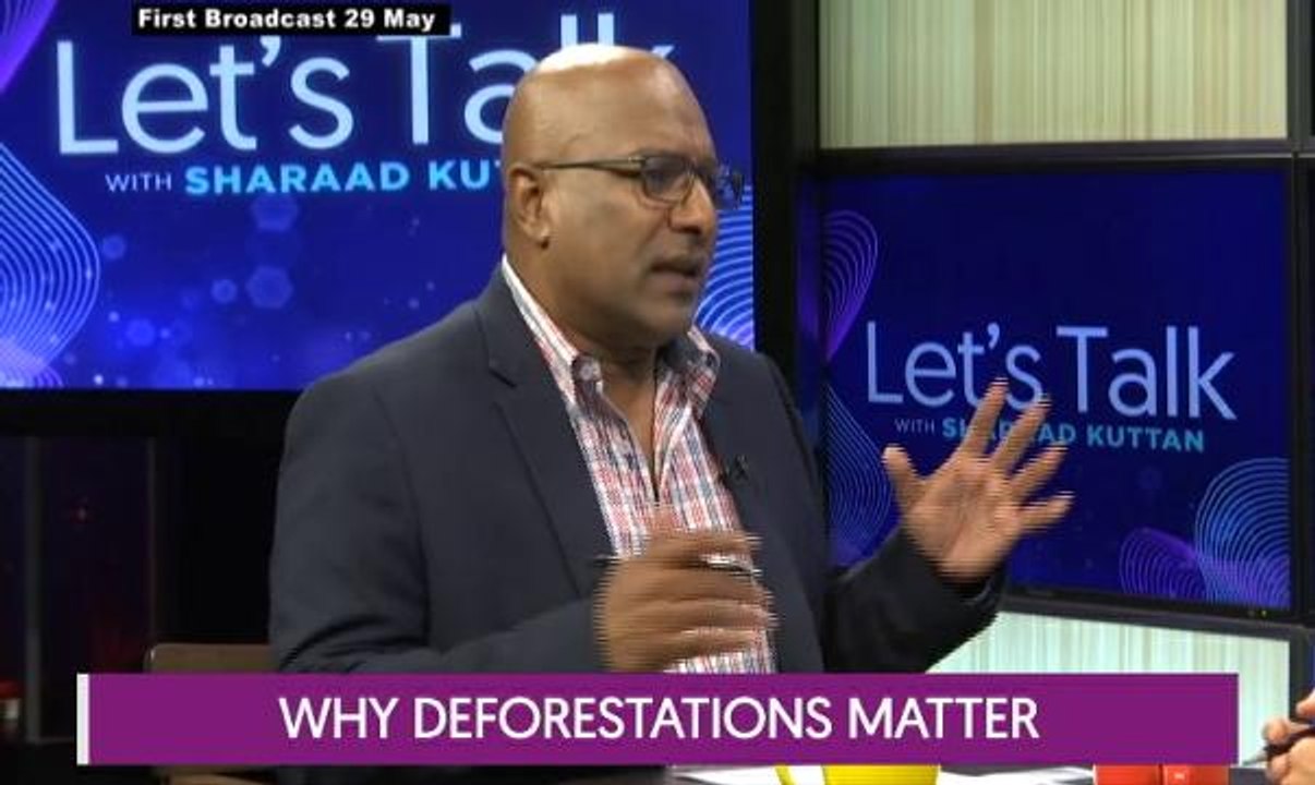 Let's Talk:  Why Deforestations Matter