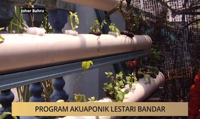 Khabar Dari Johor: Program akuaponik lestari bandar