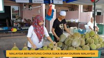 Malaysia beruntung China suka buah durian Malaysia
