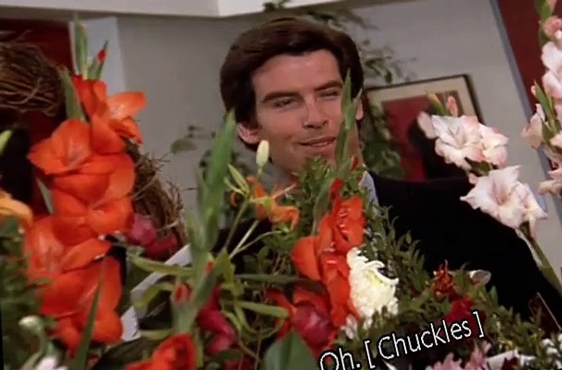 Remington Steele S02 E22