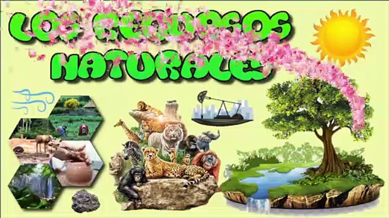 Los recursos naturales para niños