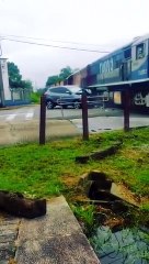 Momento em que carro colide com trem, apesar do apito
