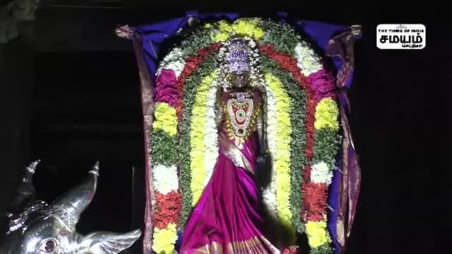 கல்யாண பசுபதீஸ்வரர் கோவில் பங்குனி உத்திர திருவிழா கோலாகலம்!