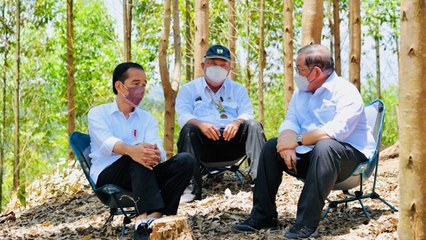 Potret Jokowi Berkemah di Titik Nol IKN Nusantara