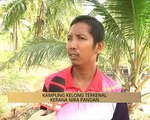 Khabar Dari Kelantan: Kampung Kelong terkenal kerana nira pandan