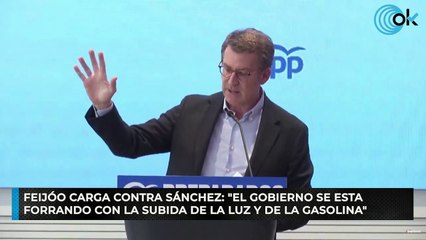 Feijóo carga contra Sánchez: "El Gobierno se esta forrando con la subida de la luz y de la gasolina"