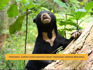 Penyanyi, Zarith Sofia mohon maaf tindakan simpan beruang