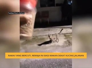 #Bualan 10 Jun: Ramai yang bercuti, remaja ini bagi makan dekat kucing jalanan