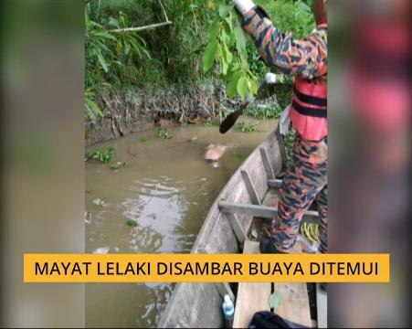 Mayat lelaki disambar buaya ditemui