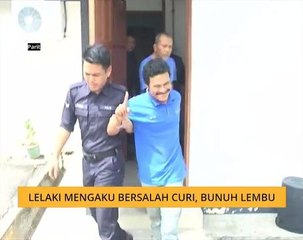 Lelaki mengaku bersalah curi, bunuh lembu