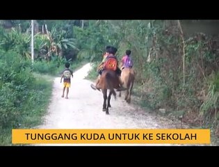#Bualan 12 Jun: Tunggang kuda untuk ke sekolah