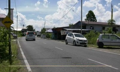 Khabar Dari Sarawak: Akasia sumber kayu alternatif