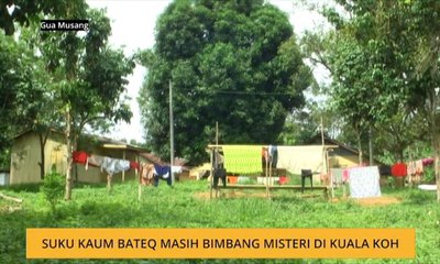 Suku kaum Bateq masih bimbang misteri di Kuala Koh