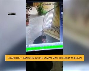 Lelaki jerut, gantung kucing sampai mati dipenjara 15 bulan