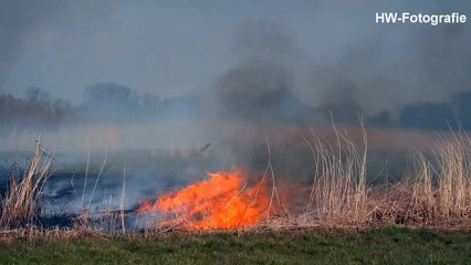 Forse rietbrand aan de van Nahuysweg in Hasselt