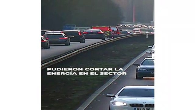 Rescatistas salvan a gato montés atrapado en poste eléctrico